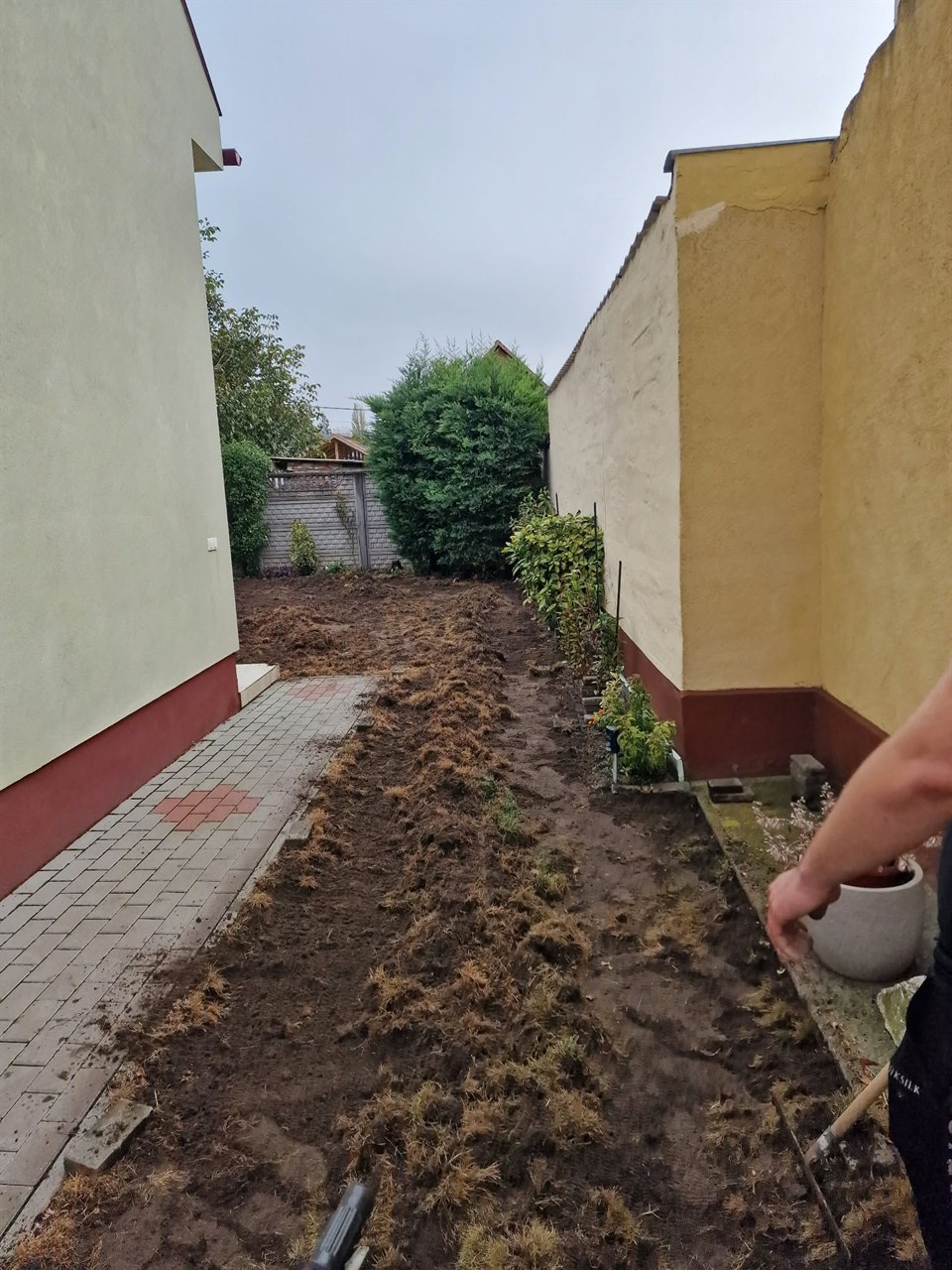 Keskeny kertsáv gyomos, gondozatlan állapotban