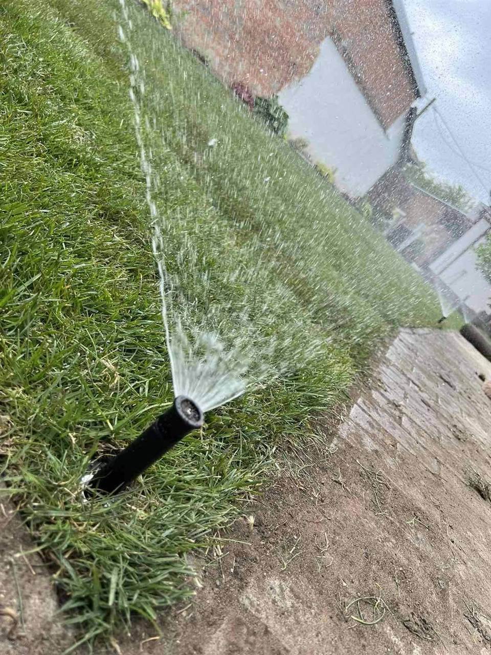 Szórófej locsolja a gyepet egy járda mentén